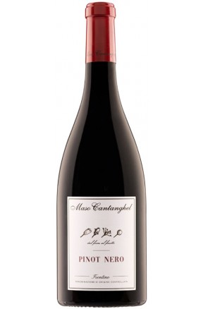 Trentino rosso DOC Pinot Nero di Maso Cantanghel