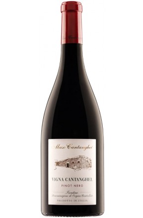 Trentino rosso DOC Vigna Cantanghel Pinot Nero di Maso Cantanghel