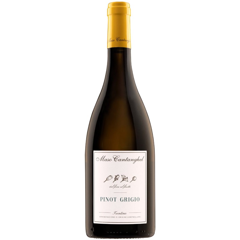 Trentino bianco DOC Pinot Grigio di Maso Cantanghel