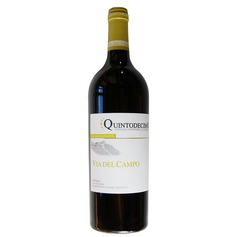 Irpinia bianco DOC Via del Campo Falanghina di Quintodecimo