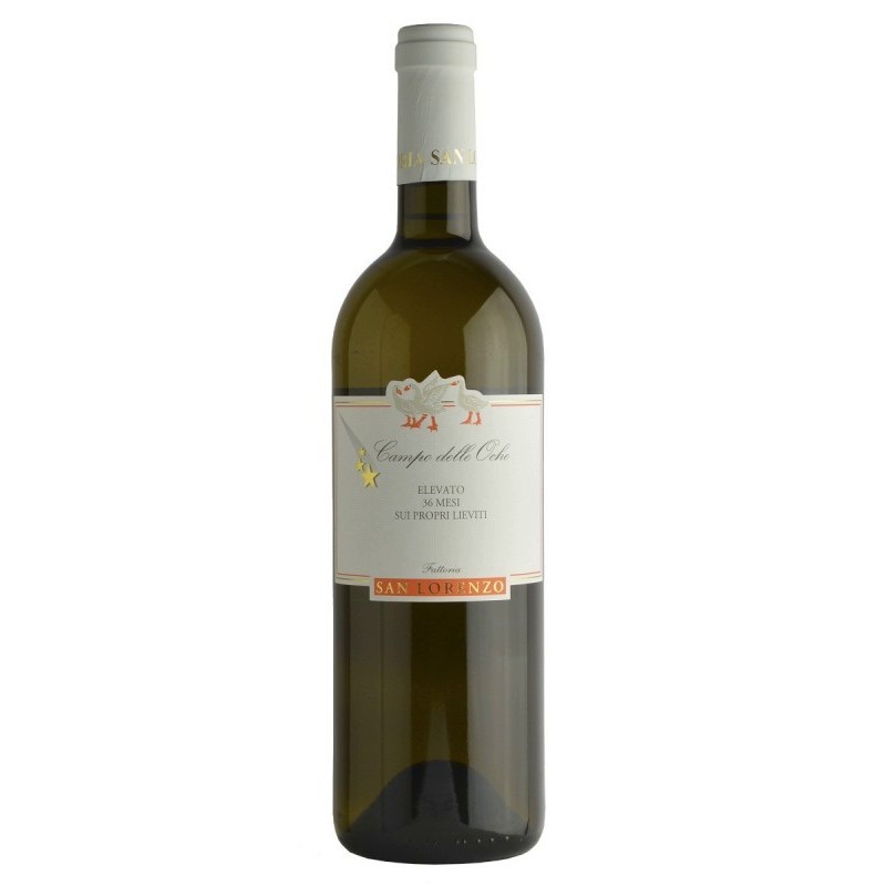 Marche bianco IGT Verdicchio Campo delle Oche di Fattoria San Lorenzo