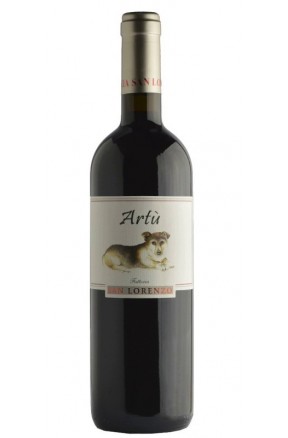 Marche rosso IGT Artù 24 mesi sui lieviti di Fattoria San Lorenzo