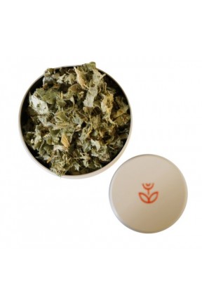 Tisana Detox biologica di Antiche Essenze Mediterranee