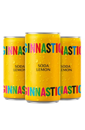 Soda Lemon Ginnastic di Amari & Affini 18 lattine