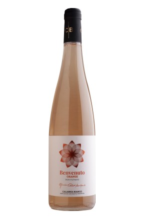 Calabria bianco IGT Benvenuto Orange di Cantine Benvenuto