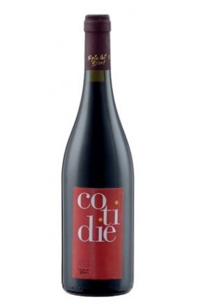 Calabria rosso IGT Cotidie di Spiriti Ebbri