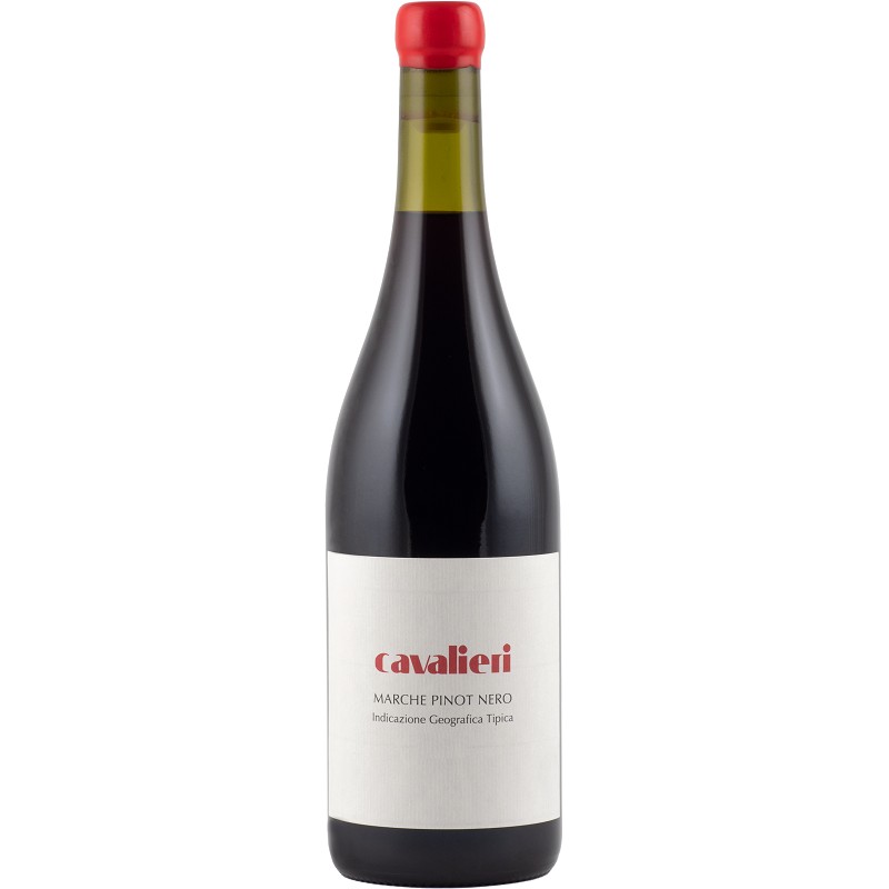 Marche rosso IGT Pinot Nero di Cavalieri
